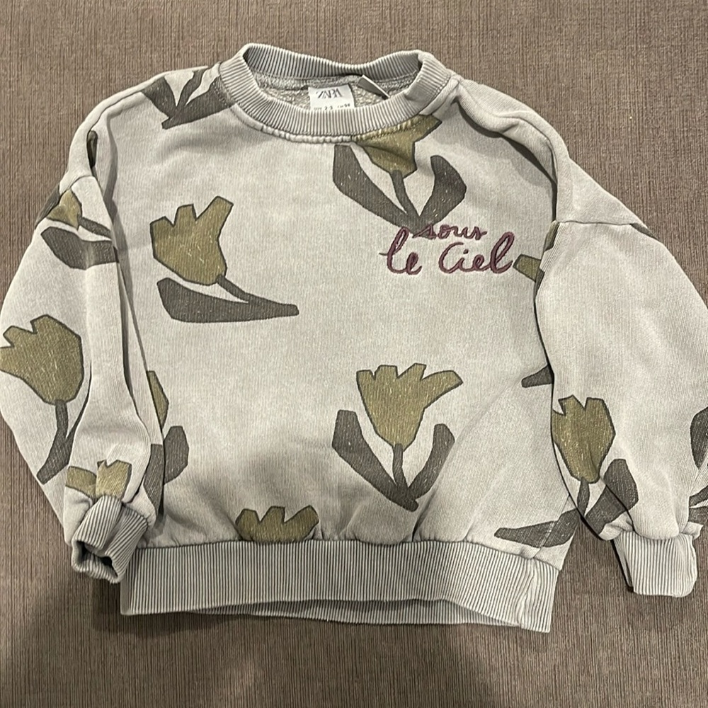 Zara 2-3 sweatshirt